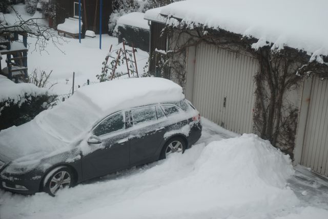 DSC_7426.JPG