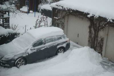 DSC_7426.JPG