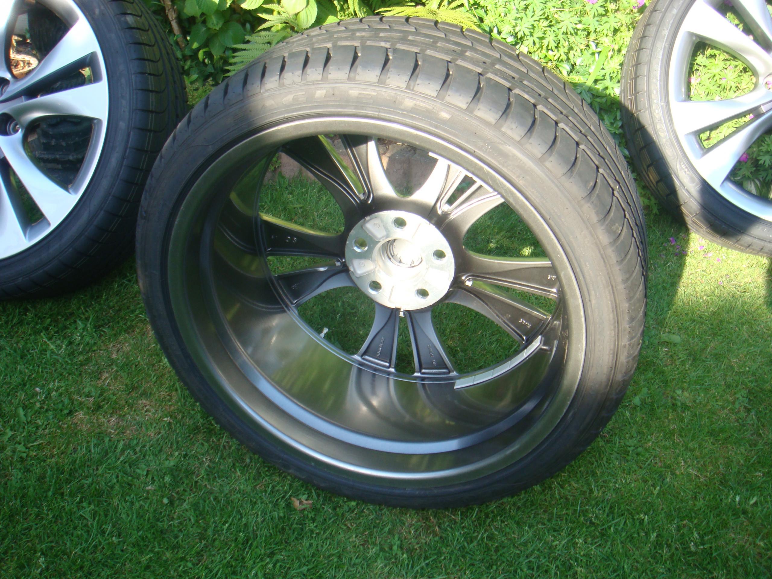 DSC03784.JPG
