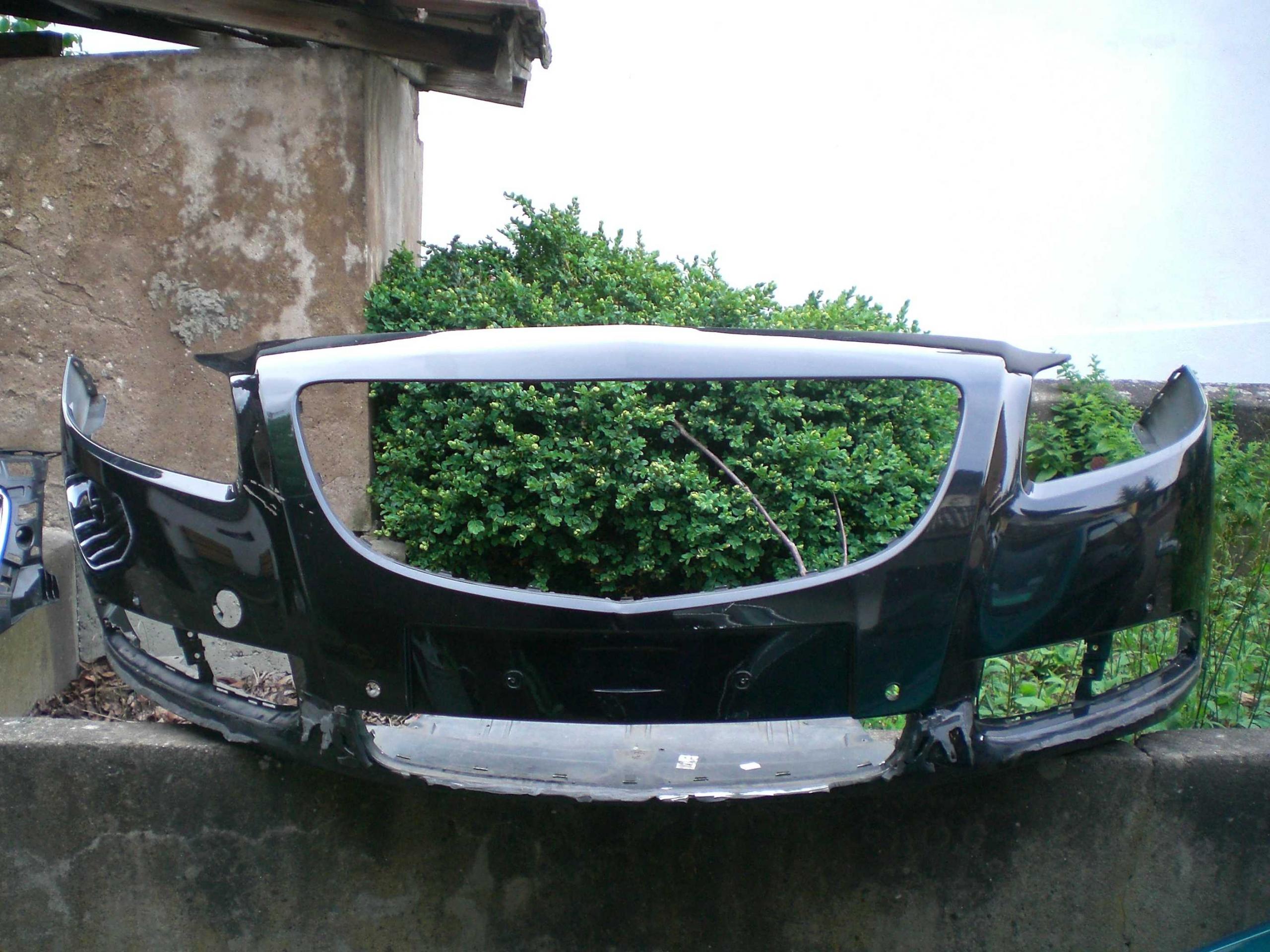 Insignia22.jpg