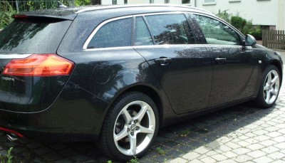 Mikes-Insignia-Seite.jpg