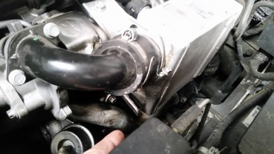 20160308_161923.jpg